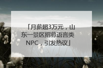 月薪超3万元，山东一景区招募语言类NPC，引发热议