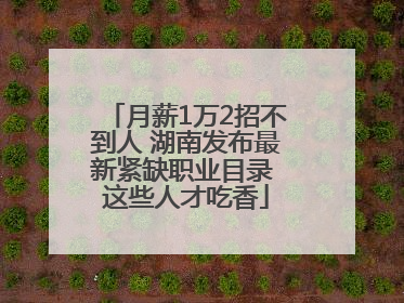 月薪1万2招不到人 湖南发布最新紧缺职业目录 这些人才吃香