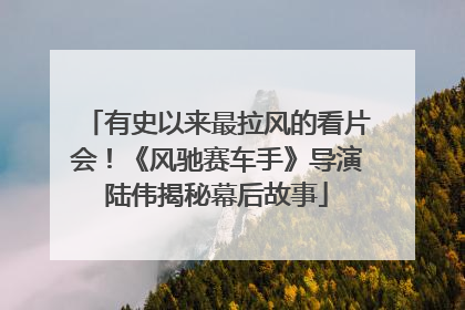 有史以来最拉风的看片会！《风驰赛车手》导演陆伟揭秘幕后故事