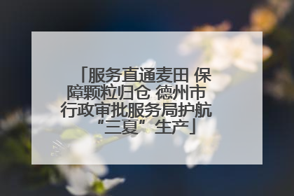 服务直通麦田 保障颗粒归仓 德州市行政审批服务局护航“三夏”生产