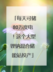 每天可储80万度电！这个大型锂钠混合储能站投产