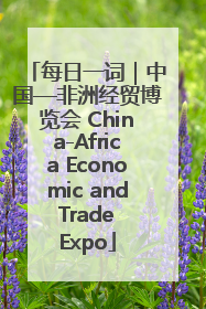 每日一词｜中国—非洲经贸博览会 China-Africa Economic and Trade Expo