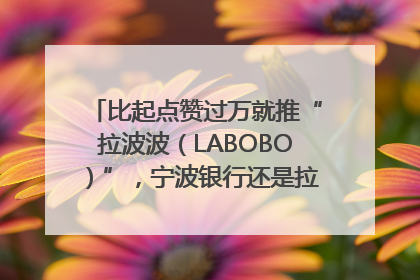 比起点赞过万就推“拉波波（LABOBO）”，宁波银行还是拉业绩吧｜财经辣评