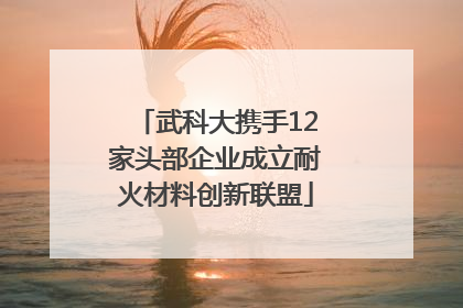 武科大携手12家头部企业成立耐火材料创新联盟