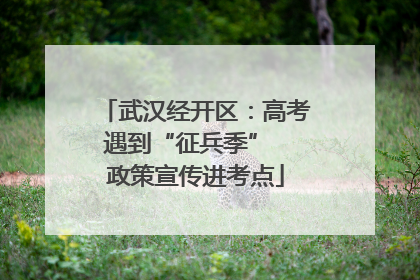 武汉经开区：高考遇到“征兵季”  政策宣传进考点