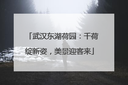 武汉东湖荷园：千荷绽新姿，美景迎客来