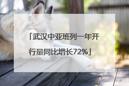 武汉中亚班列一年开行量同比增长72%