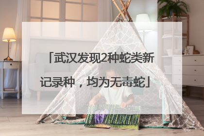 武汉发现2种蛇类新记录种，均为无毒蛇