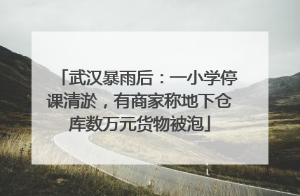 武汉暴雨后：一小学停课清淤，有商家称地下仓库数万元货物被泡