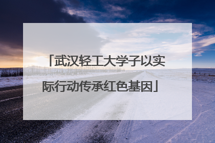 武汉轻工大学子以实际行动传承红色基因