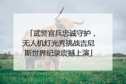 武警官兵忠诚守护，无人机灯光秀挑战吉尼斯世界纪录震撼上演