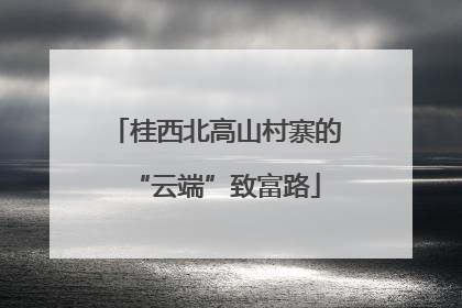 桂西北高山村寨的“云端”致富路