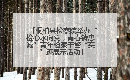 桐柏县检察院举办“检心永向党，青春铸忠诚”青年检察干警“实”迹展示活动
