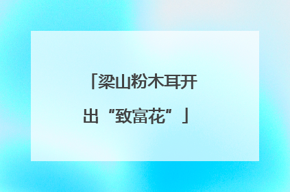 梁山粉木耳开出“致富花”