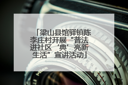 梁山县馆驿镇陈李庄村开展“普法进社区‘典’亮新生活”宣讲活动
