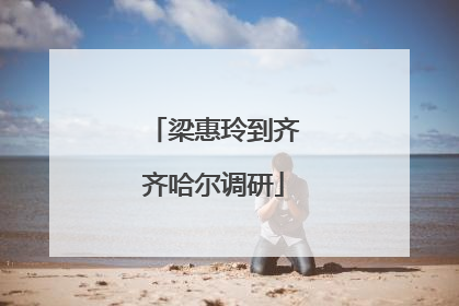 梁惠玲到齐齐哈尔调研