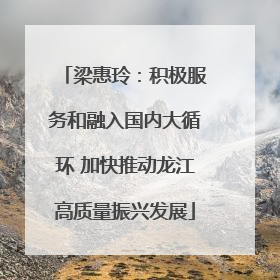 梁惠玲：积极服务和融入国内大循环 加快推动龙江高质量振兴发展