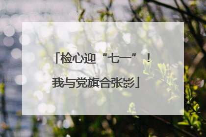 检心迎“七一”！我与党旗合张影