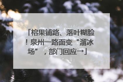 榕果铺路、落叶糊脸！泉州一路面变“溜冰场”，部门回应→