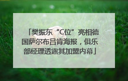 樊振东“C位”亮相德国萨尔布吕肯海报，俱乐部经理透露其加盟内幕