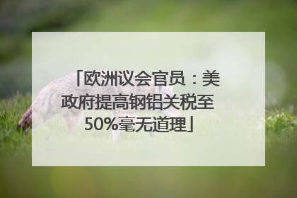 欧洲议会官员：美政府提高钢铝关税至50%毫无道理