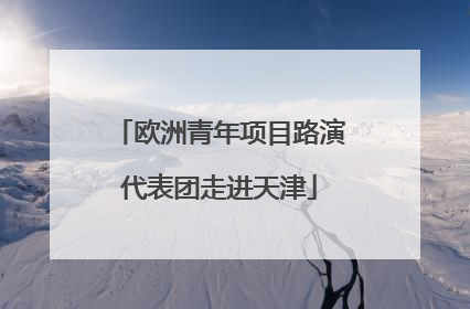 欧洲青年项目路演代表团走进天津