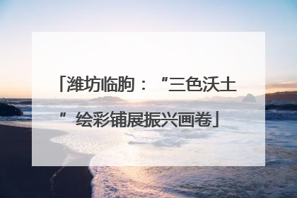 潍坊临朐：“三色沃土”绘彩铺展振兴画卷