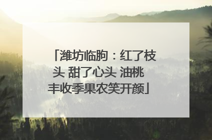 潍坊临朐：红了枝头 甜了心头 油桃丰收季果农笑开颜