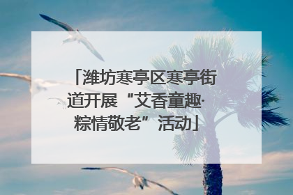 潍坊寒亭区寒亭街道开展“艾香童趣·粽情敬老”活动