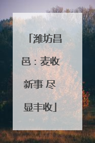潍坊昌邑：麦收新事 尽显丰收