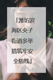 潍坊滨海区央子街道多举措筑牢安全防线
