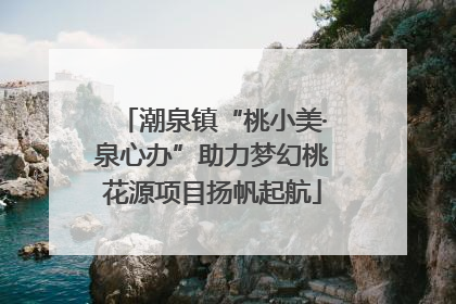 潮泉镇“桃小美·泉心办”助力梦幻桃花源项目扬帆起航