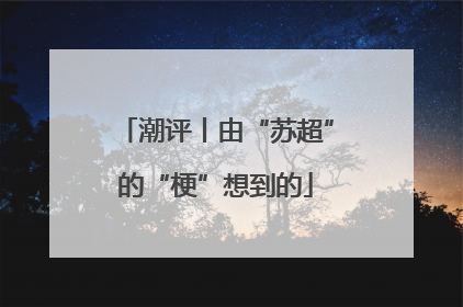 潮评丨由“苏超”的“梗”想到的