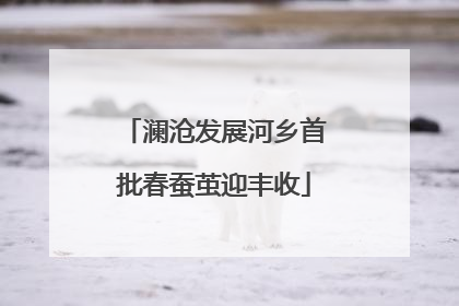 澜沧发展河乡首批春蚕茧迎丰收