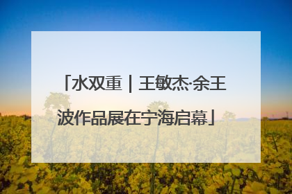 水双重｜王敏杰·余王波作品展在宁海启幕