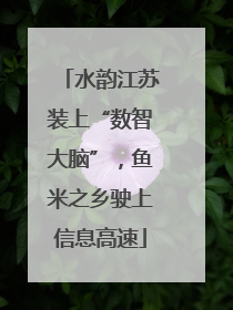 水韵江苏装上“数智大脑”，鱼米之乡驶上信息高速