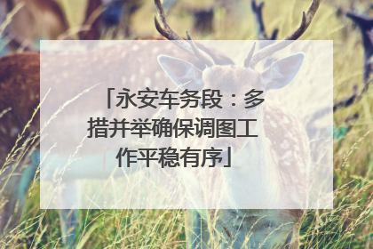永安车务段：多措并举确保调图工作平稳有序