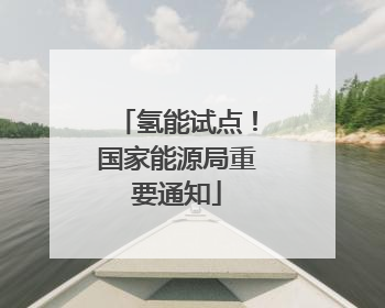 氢能试点！国家能源局重要通知