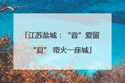 江苏盐城：“音”爱留“夏” 带火一座城