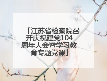 江苏省检察院召开庆祝建党104周年大会暨学习教育专题党课