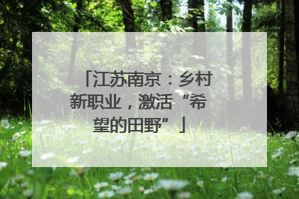 江苏南京：乡村新职业，激活“希望的田野”