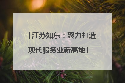 江苏如东：聚力打造现代服务业新高地