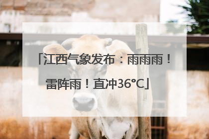 江西气象发布：雨雨雨！雷阵雨！直冲36°C