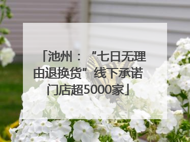 池州：“七日无理由退换货”线下承诺门店超5000家