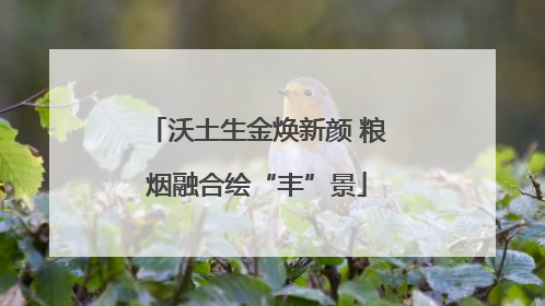 沃土生金焕新颜 粮烟融合绘“丰”景