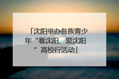 沈阳举办各族青少年“看沈阳、爱沈阳”高校行活动