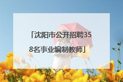 沈阳市公开招聘358名事业编制教师