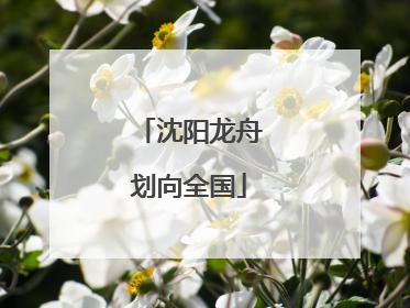 沈阳龙舟划向全国