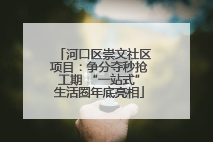 河口区崇文社区项目：争分夺秒抢工期 “一站式”生活圈年底亮相