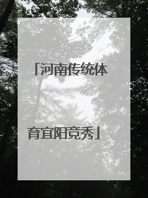 河南传统体育宜阳竞秀